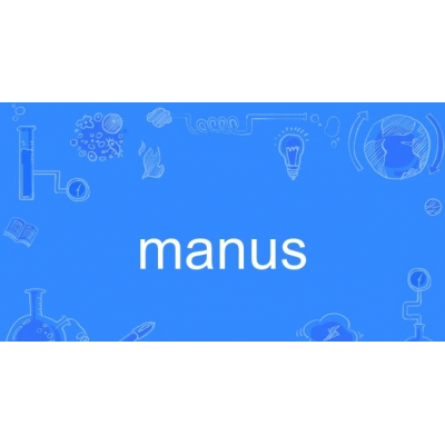 中國團隊發(fā)布通用型AI Agent產(chǎn)品Manus 性能超越OpenAI
